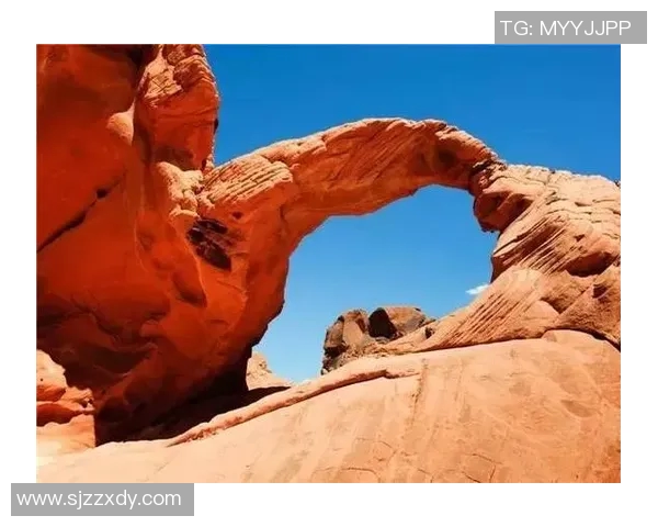 北卡与俄勒冈精彩对决录像回放分析及精彩瞬间集锦