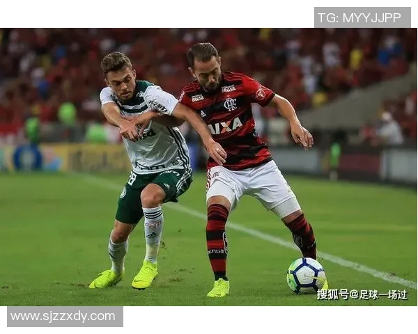 圣保罗与帕尔梅比赛因故取消球迷期待重赛新日期