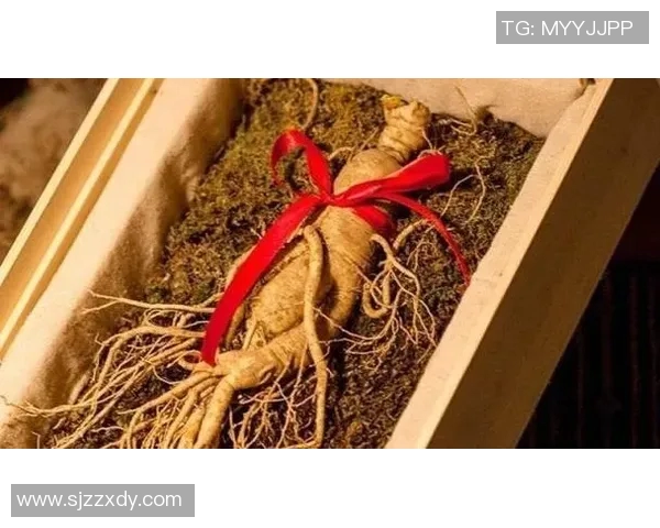 九宝图的神秘传说与文化内涵探秘之旅