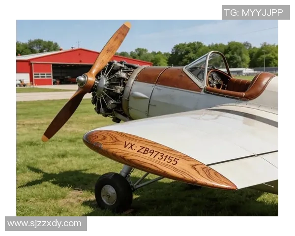 约旦与越南激战正酣最终比分定格在1比8的悬殊差距